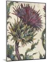 Spear Thistle - Gauche-Vicky Oldfield-Mounted Giclee Print