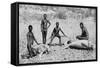 Speared Manatee, North-West Australia, 1922-null-Framed Stretched Canvas