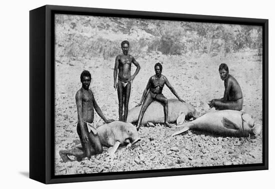 Speared Manatee, North-West Australia, 1922-null-Framed Stretched Canvas