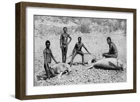 Speared Manatee, North-West Australia, 1922-null-Framed Giclee Print