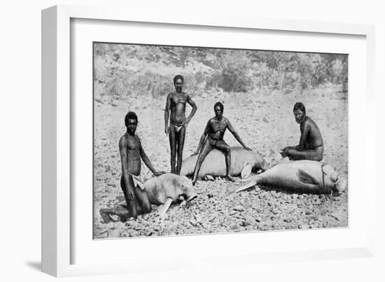 Speared Manatee, North-West Australia, 1922-null-Framed Giclee Print