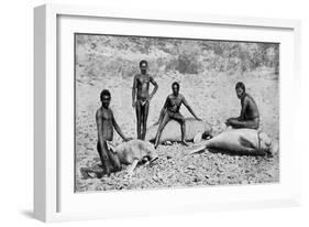 Speared Manatee, North-West Australia, 1922-null-Framed Giclee Print