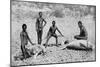 Speared Manatee, North-West Australia, 1922-null-Mounted Premium Giclee Print