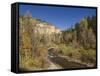 Spearfish Canyon, Black Hills, South Dakota, United States of America, North America-Pitamitz Sergio-Framed Stretched Canvas
