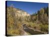 Spearfish Canyon, Black Hills, South Dakota, United States of America, North America-Pitamitz Sergio-Stretched Canvas