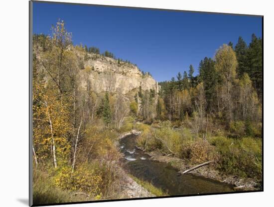 Spearfish Canyon, Black Hills, South Dakota, United States of America, North America-Pitamitz Sergio-Mounted Photographic Print