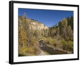 Spearfish Canyon, Black Hills, South Dakota, United States of America, North America-Pitamitz Sergio-Framed Photographic Print