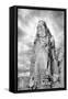 Spearhead Mesa BW-Douglas Taylor-Framed Stretched Canvas