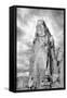 Spearhead Mesa BW-Douglas Taylor-Framed Stretched Canvas