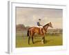 'Spearmint', Winner of the 1906 Derby, 1906-Emil Adam-Framed Giclee Print