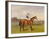 'Spearmint', Winner of the 1906 Derby, 1906-Emil Adam-Framed Giclee Print