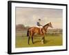 'Spearmint', Winner of the 1906 Derby, 1906-Emil Adam-Framed Giclee Print