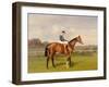 'Spearmint', Winner of the 1906 Derby, 1906-Emil Adam-Framed Giclee Print