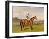 'Spearmint', Winner of the 1906 Derby, 1906-Emil Adam-Framed Giclee Print