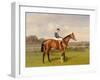 'Spearmint', Winner of the 1906 Derby, 1906-Emil Adam-Framed Giclee Print