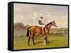 'Spearmint', Winner of the 1906 Derby, 1906-Emil Adam-Framed Stretched Canvas