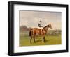 'Spearmint', Winner of the 1906 Derby, 1906-Emil Adam-Framed Giclee Print