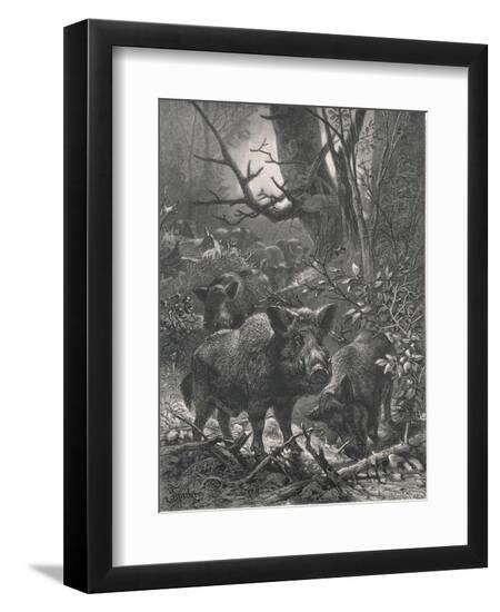 Premium Photographic Print, , large