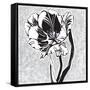 Special Delivery 1A-Judy Shelby-Framed Stretched Canvas