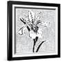 Special Delivery 1B-Judy Shelby-Framed Art Print