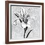 Special Delivery 1B-Judy Shelby-Framed Art Print
