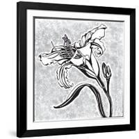 Special Delivery 2B-Judy Shelby-Framed Art Print