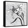 Special Delivery 2B-Judy Shelby-Framed Stretched Canvas