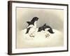 Special Delivery-Peggy Harris-Framed Giclee Print