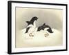 Special Delivery-Peggy Harris-Framed Giclee Print