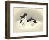 Special Delivery-Peggy Harris-Framed Giclee Print