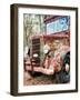 Special Delivery-Danny Head-Framed Photographic Print