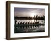 Special Editions Summer Dragon Boats, Portland, Oregon-Don Ryan-Framed Photographic Print