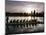 Special Editions Summer Dragon Boats, Portland, Oregon-Don Ryan-Mounted Photographic Print