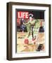 Special Issue: Japan, Woman in Kimono Bowling, September 11, 1964-Larry Burrows-Framed Photographic Print