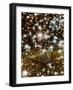 Special Night-Hugo Gonçalves-Framed Giclee Print