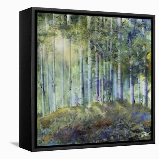 Special Place-Jason Jarava-Framed Stretched Canvas