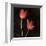 Species Tulips-Rick Filler-Framed Giclee Print