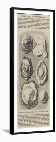 Specimen of Fossils Recently Found at Tingewick, Bucks-null-Framed Giclee Print