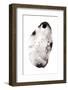 Specimen X-Amy Louise Baker-Framed Photographic Print