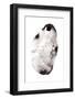 Specimen X-Amy Louise Baker-Framed Photographic Print