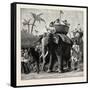 Specimens of King Theebaw's Army-null-Framed Stretched Canvas
