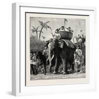 Specimens of King Theebaw's Army-null-Framed Giclee Print