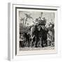 Specimens of King Theebaw's Army-null-Framed Giclee Print