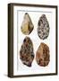 Specimens of Patination in Britain, 1926-null-Framed Giclee Print