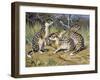 Speckled Ground Squirrel or Spotted Souslik (Citellus Suslicus), Sciuridae-null-Framed Giclee Print
