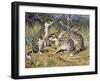 Speckled Ground Squirrel or Spotted Souslik (Citellus Suslicus), Sciuridae-null-Framed Giclee Print