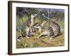 Speckled Ground Squirrel or Spotted Souslik (Citellus Suslicus), Sciuridae-null-Framed Giclee Print