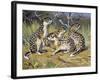 Speckled Ground Squirrel or Spotted Souslik (Citellus Suslicus), Sciuridae-null-Framed Giclee Print