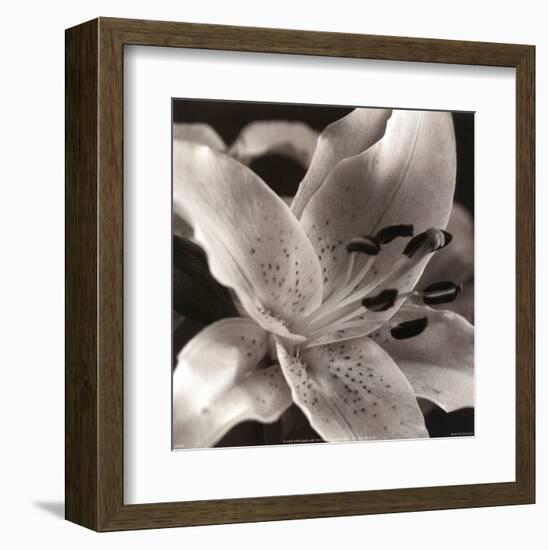 Speckled Lily-null-Framed Art Print