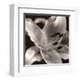 Speckled Lily-null-Framed Art Print